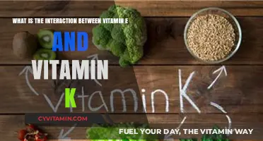 Synergistic Effects: Unveiling the Interaction Between Vitamin E and Vitamin K