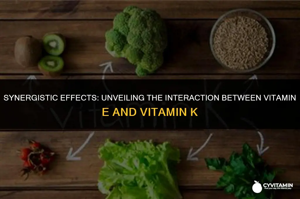what is the interaction between vitamin e and vitamin k
