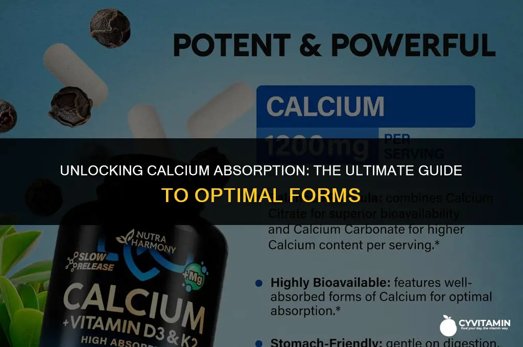 what is the most absorbable form of calcium