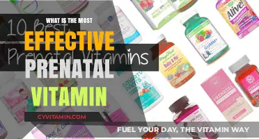 Nourishing Beginnings: The Quest for the Ultimate Prenatal Vitamin