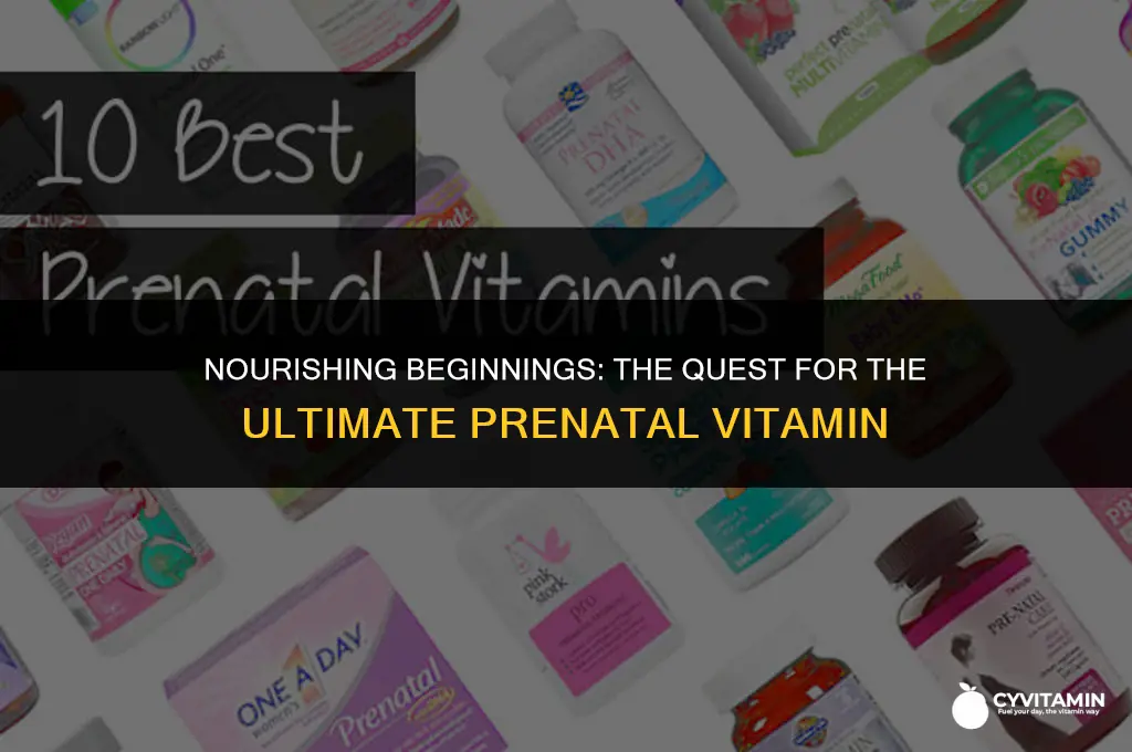 what is the most effective prenatal vitamin