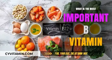Unlocking Vitality: The Crucial Role of Vitamin B12 in Your Health