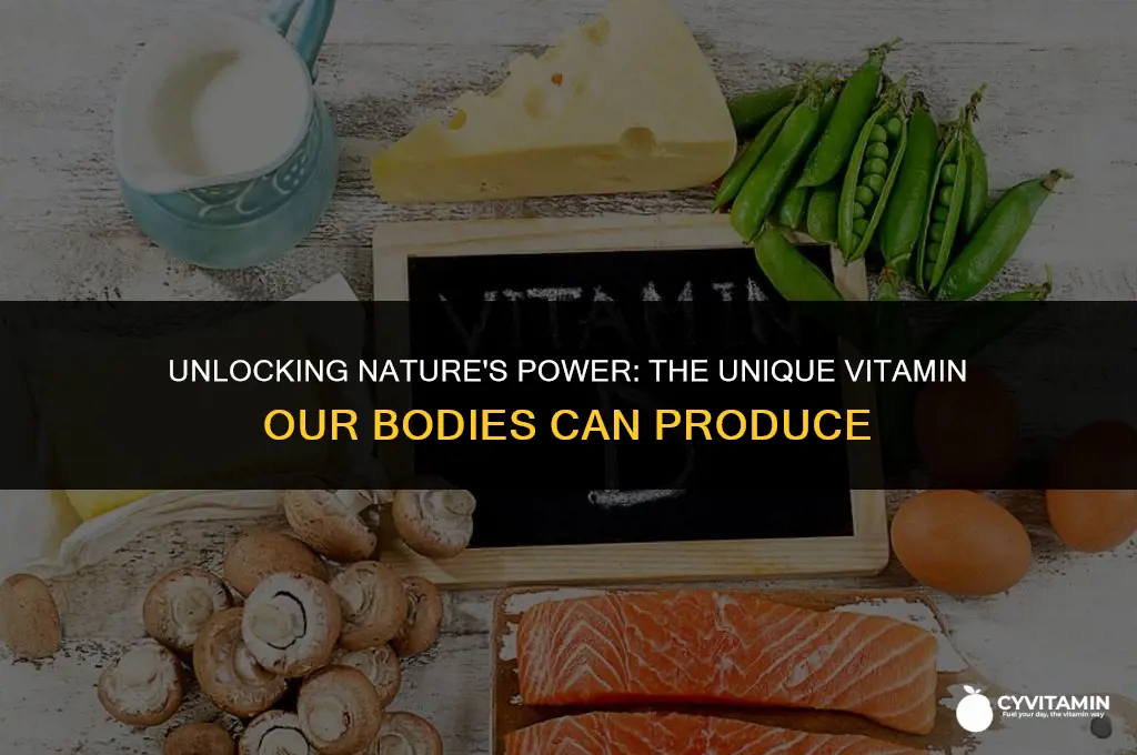 what is the only vitamin the human body can produce