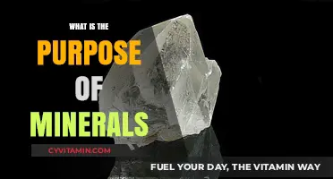 Unlocking the Essentials: The Vital Role of Minerals in Our Lives