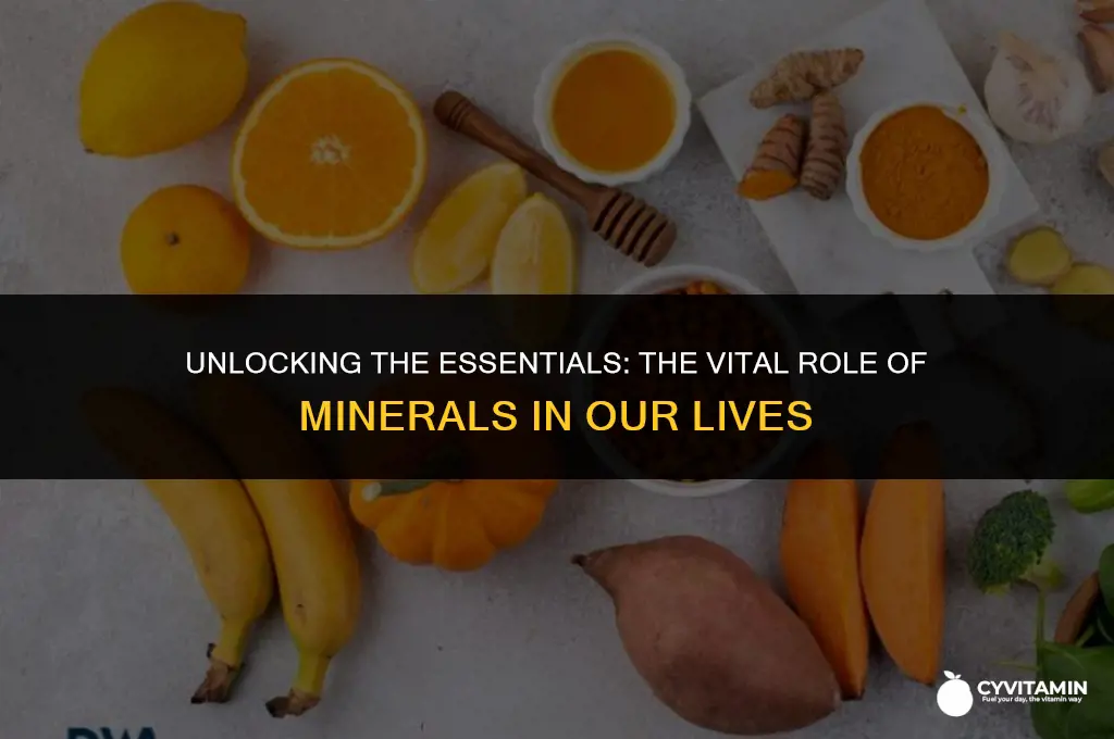 what is the purpose of minerals