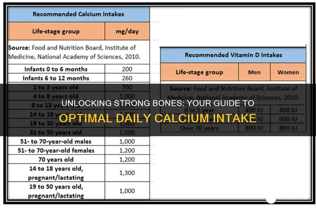what is the recommended daily allowance of calcium