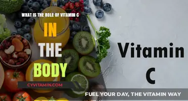 Unlocking the Power of Vitamin C: Essential Roles in Your Body