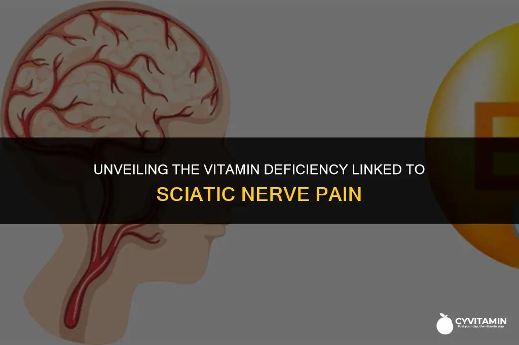 what is the vitamin deficiency for sciatic nerve
