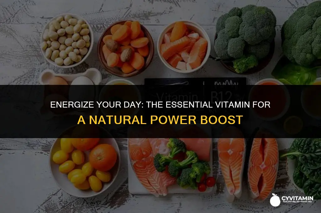 what is the vitamin that gives you energy