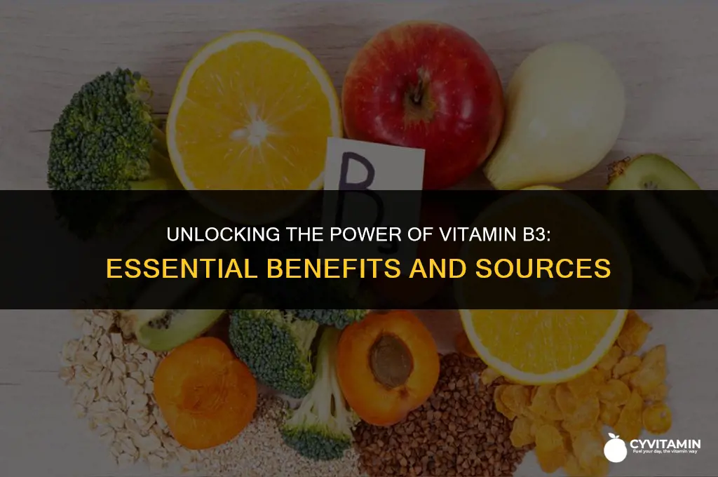 what is vitamin b 3