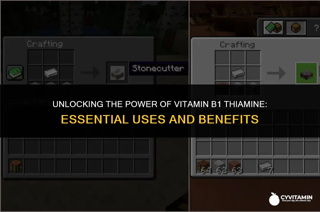 what is vitamin b1 thiamine used for