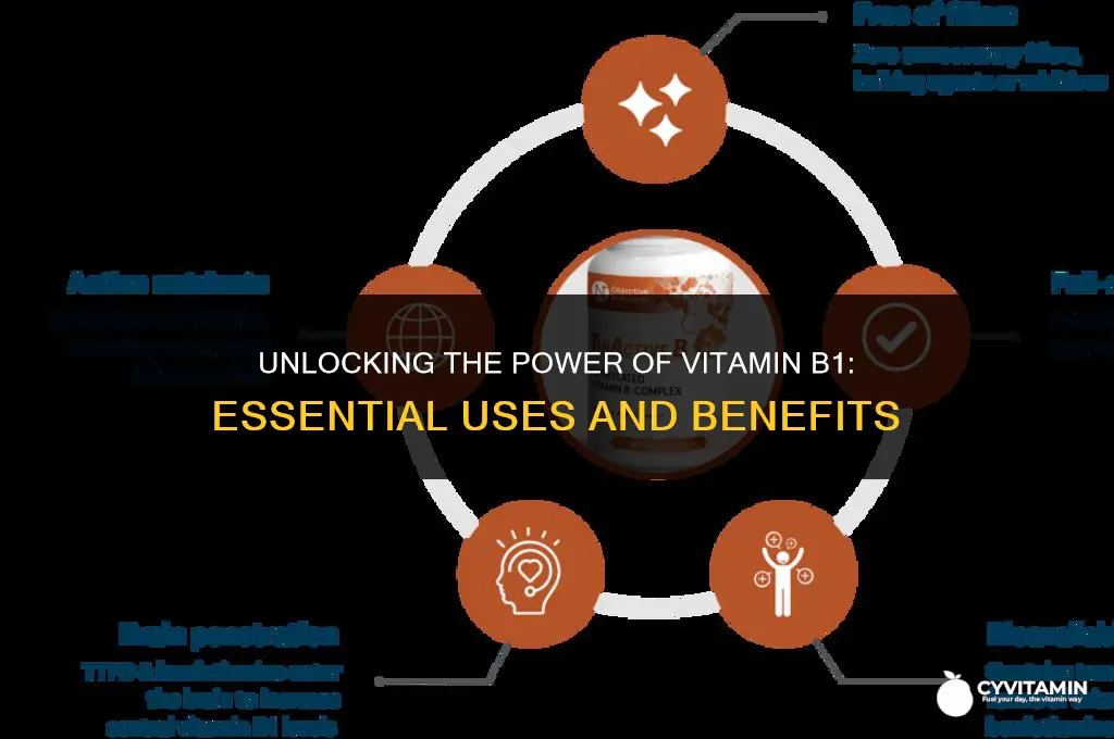 what is vitamin b1 used for