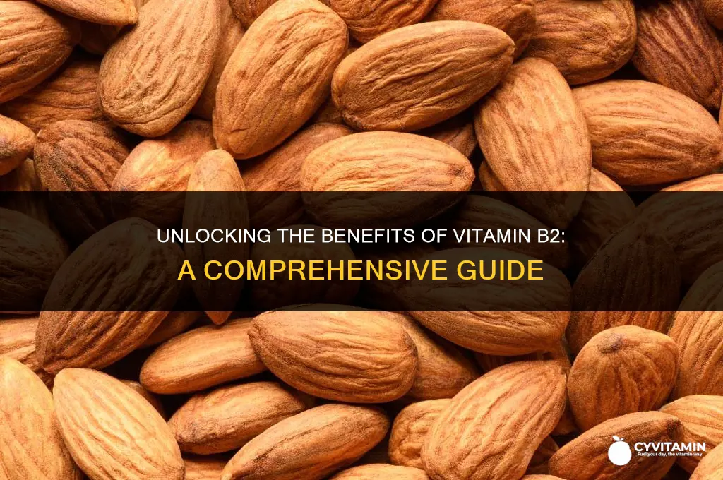 what is vitamin b2 used for