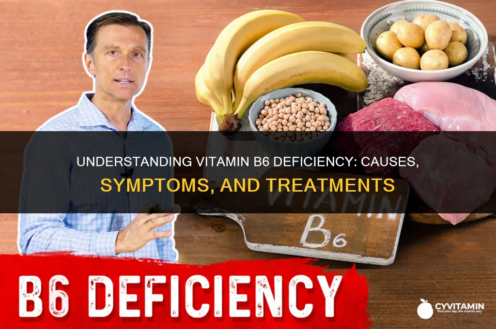 what is vitamin b6 deficiency disease