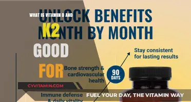 Unlocking the Power of Vitamin D and K2: Benefits and Sources