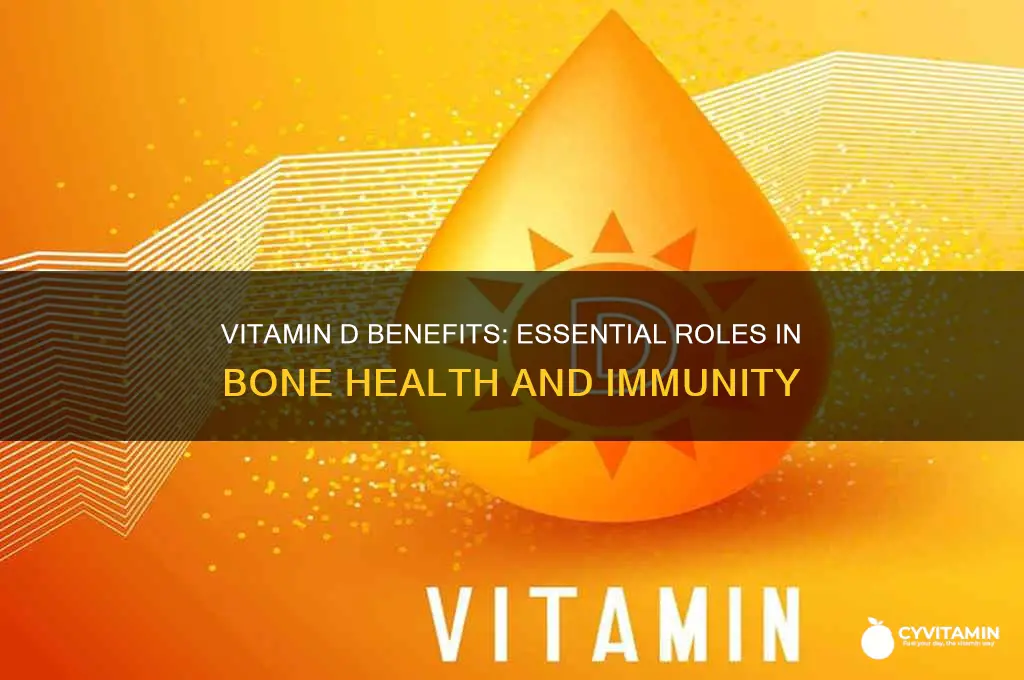 what is vitamin d best for