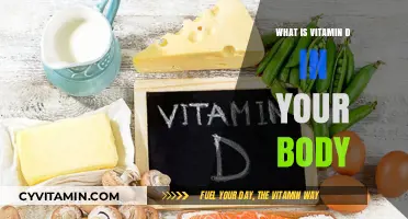 Unlocking the Power of Vitamin D: Essential for Body and Mind