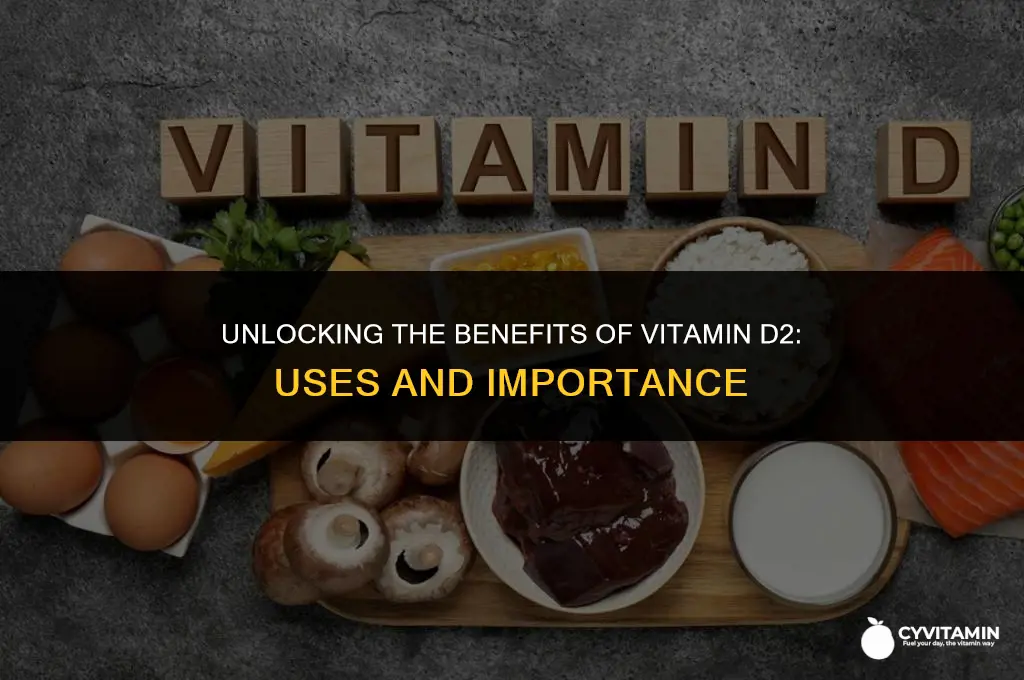 what is vitamin d2 ergo used for