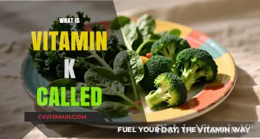 Unlocking the Secrets of Vitamin K: A Comprehensive Guide