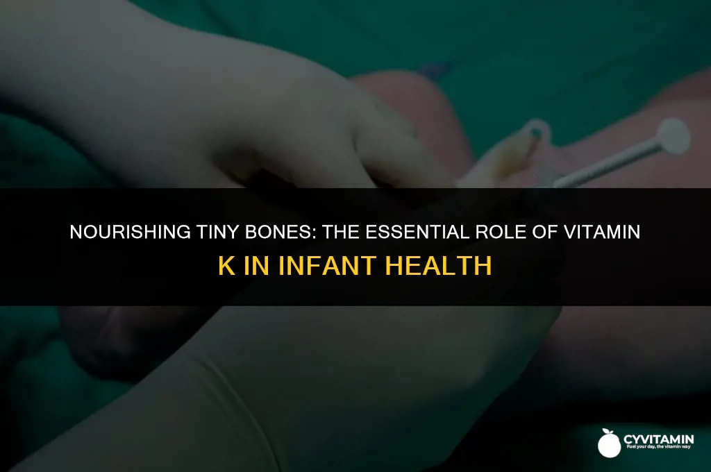 what is vitamin k for babies