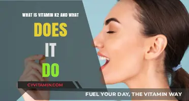 Unlocking the Power of Vitamin K2: Benefits and Sources Explained