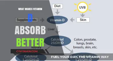 Unlocking the Power of Vitamin D: A Guide to Optimal Absorption