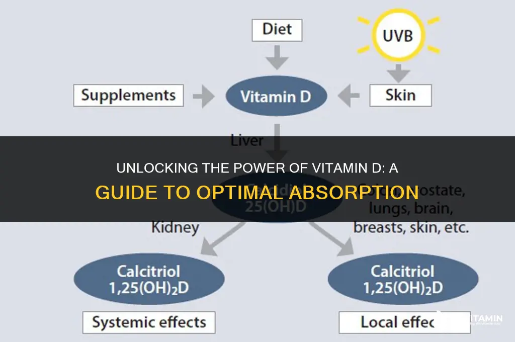 what makes vitamin d absorb better