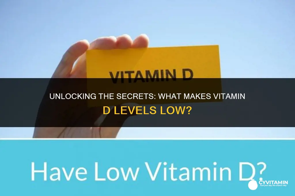 what makes vitamin d low