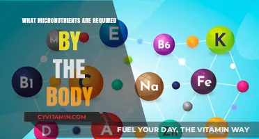 Essential Micronutrients: Unlocking the Secrets to Optimal Health