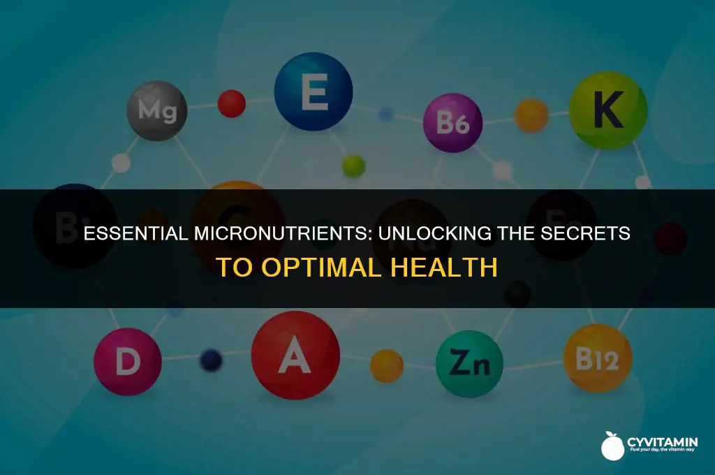 what micronutrients are required by the body
