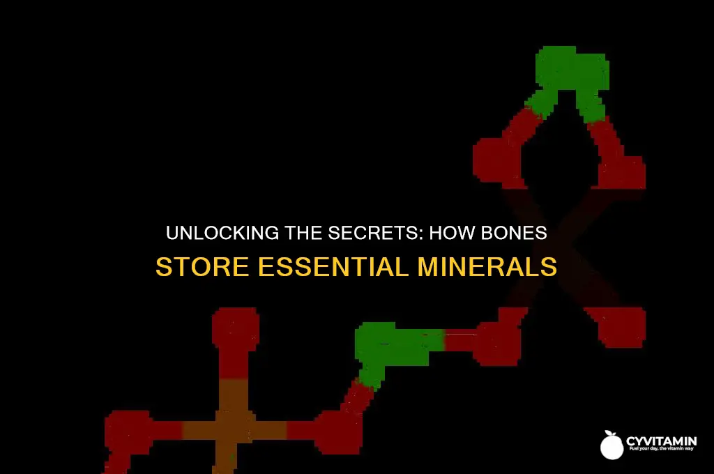 what mineral do bones store