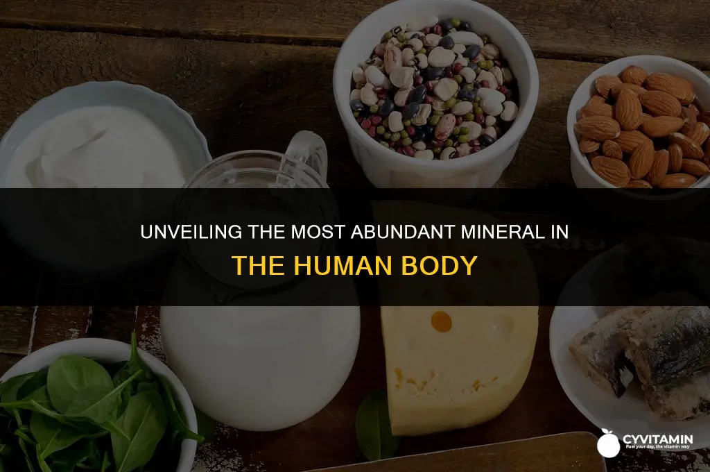 what mineral is the most prevalent mineral in the body