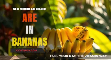 Unlocking Nature's Powerhouse: The Essential Nutrients in Bananas
