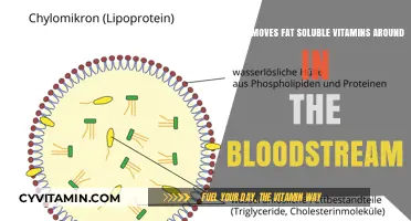 Unlocking the Secret: How Lipoproteins Transport Fat-Soluble Vitamins