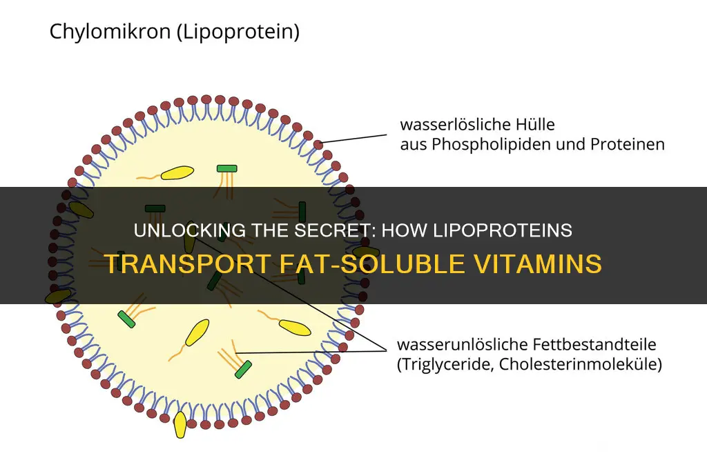 what moves fat soluble vitamins around in the bloodstream