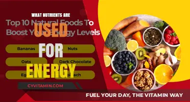 Fuel Your Body: Essential Nutrients for Sustained Energy