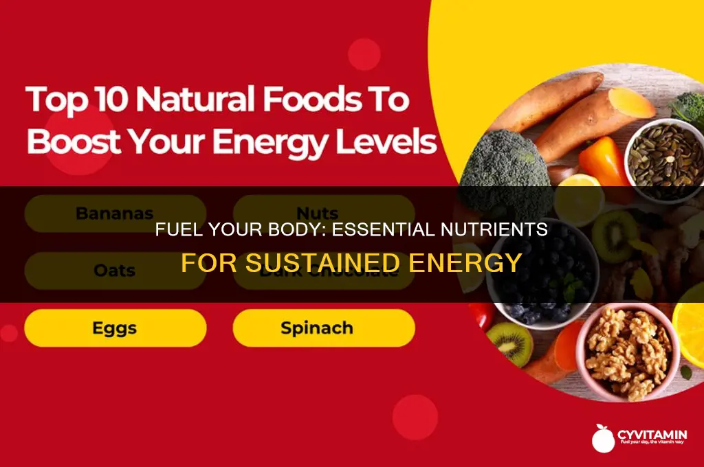 what nutrients are used for energy