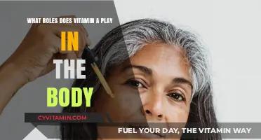 Unlocking the Secrets of Vitamin A: Essential Roles in Your Body
