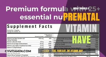Essential Nutrients Every Prenatal Vitamin Should Contain for Optimal Health