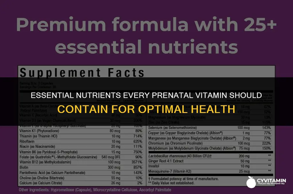what should a prenatal vitamin have