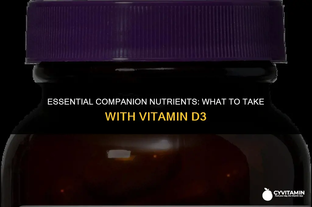 what should you take with vitamin d3