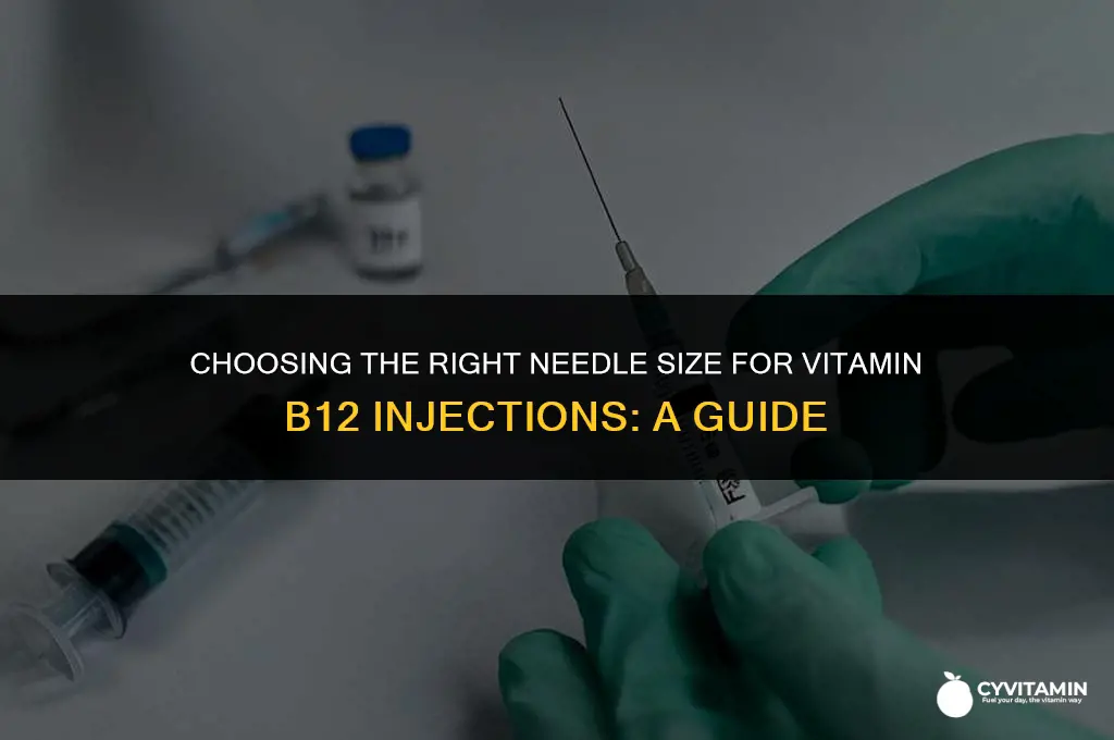 what size needle for vitamin b12 injection