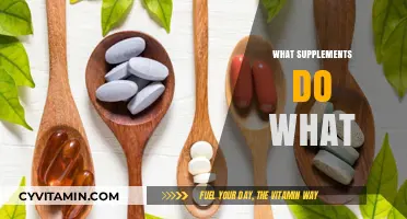 Unlocking Wellness: A Guide to Supplements and Their Benefits