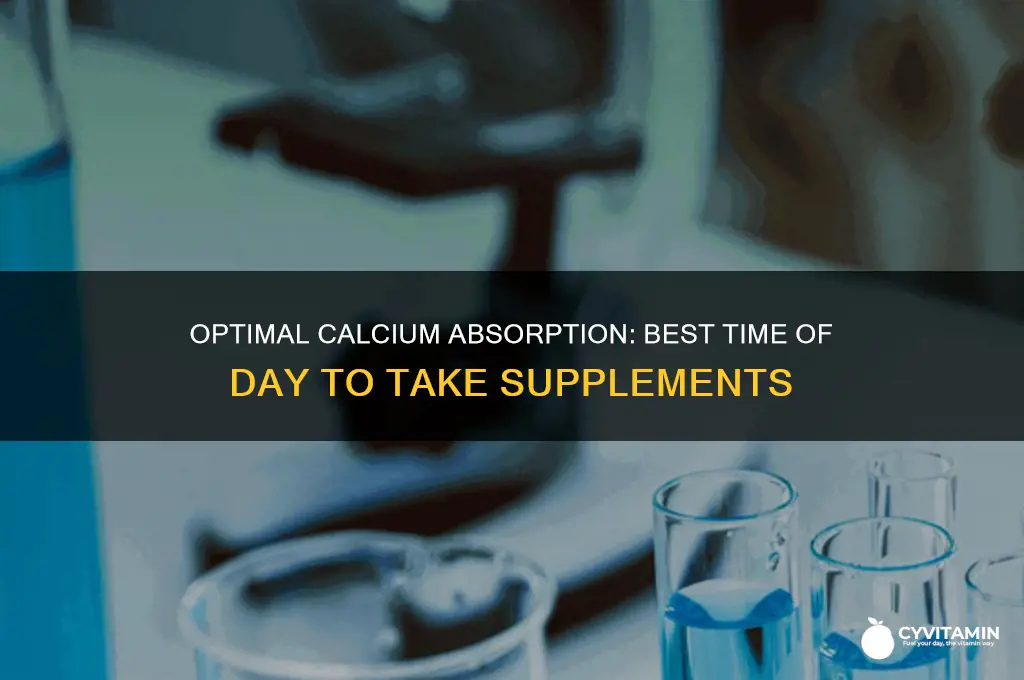 what time of day is best to take calcium