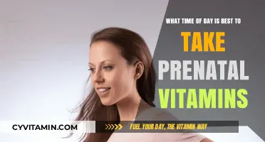 Best Time to Take Prenatal Vitamins for Optimal Absorption