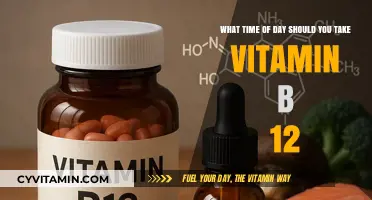 Optimal Timing for Vitamin B12: Morning or Evening?