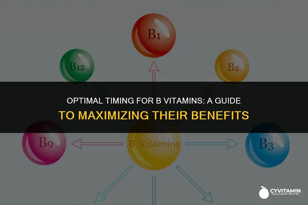 what time of day to take b vitamins