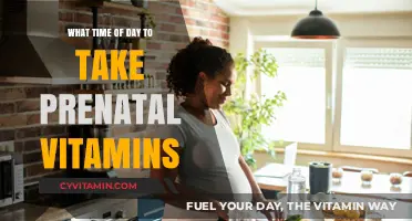 Optimizing Prenatal Health: The Best Time to Take Your Vitamins