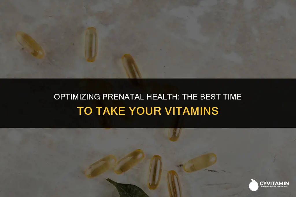 what time of day to take prenatal vitamins