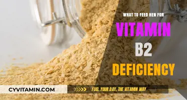 Boosting Hens' Health: The Best Foods for Vitamin B2 Deficiency